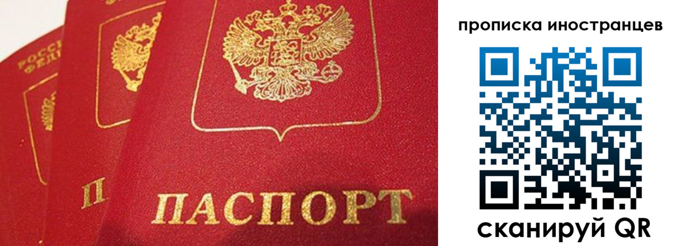 прописка поиск в Шагонаре
